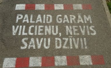 Galerija